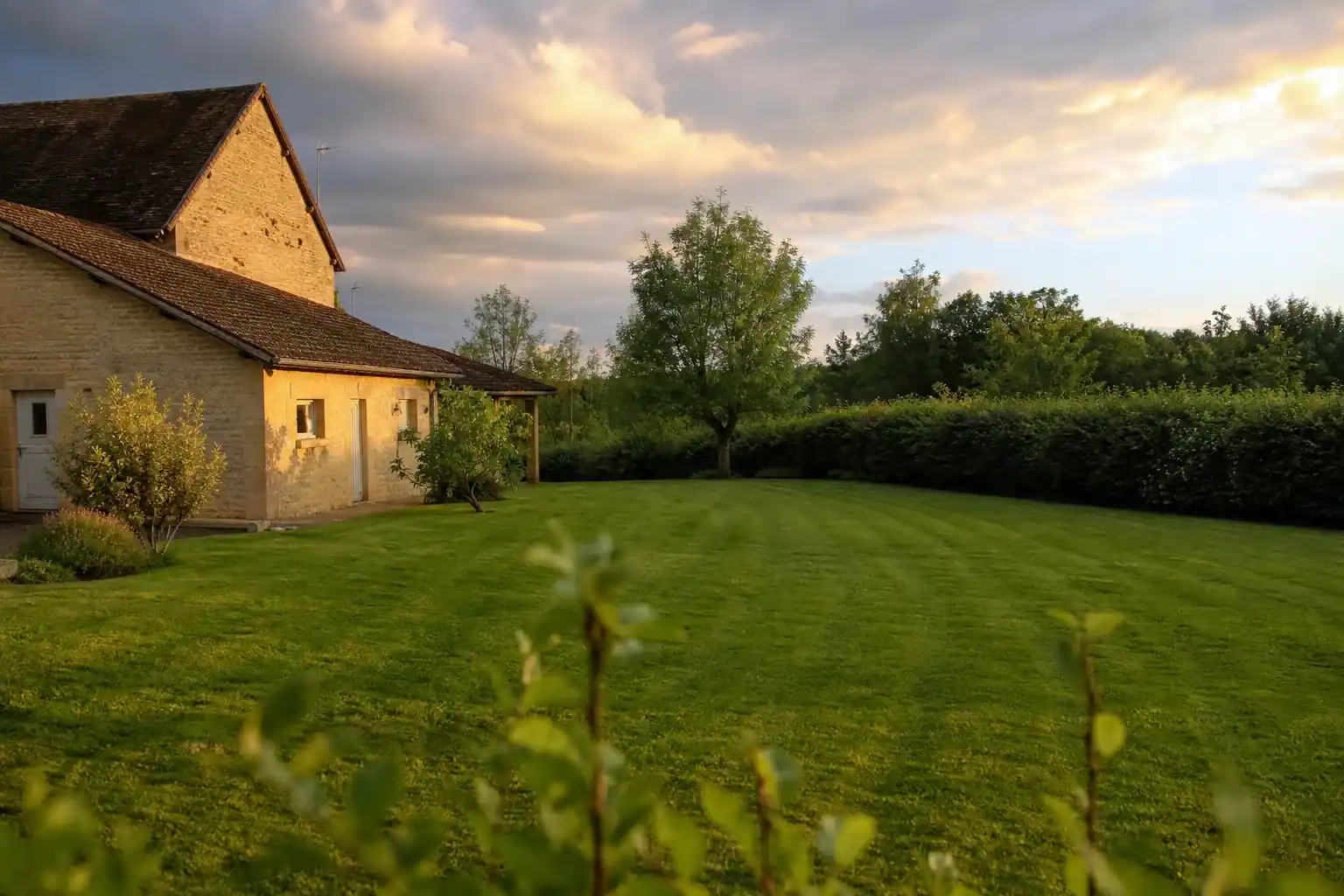 Photo réaliste d'une pelouse fraîchement tondue devant une maison bressane à Bourg-en-Bresse, bandes de coupe régulières, haie de bocage en arrière-plan, lumière douce de fin de journée après une averse de printemps.