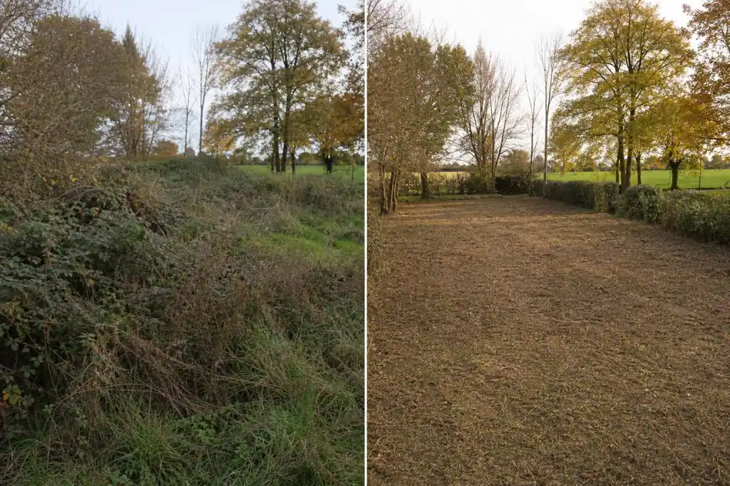 Avant après d'une parcelle de bocage bressane : à gauche une friche dense de ronces et de hautes herbes, à droite le même terrain dégagé, sol propre et haies saines conservées.