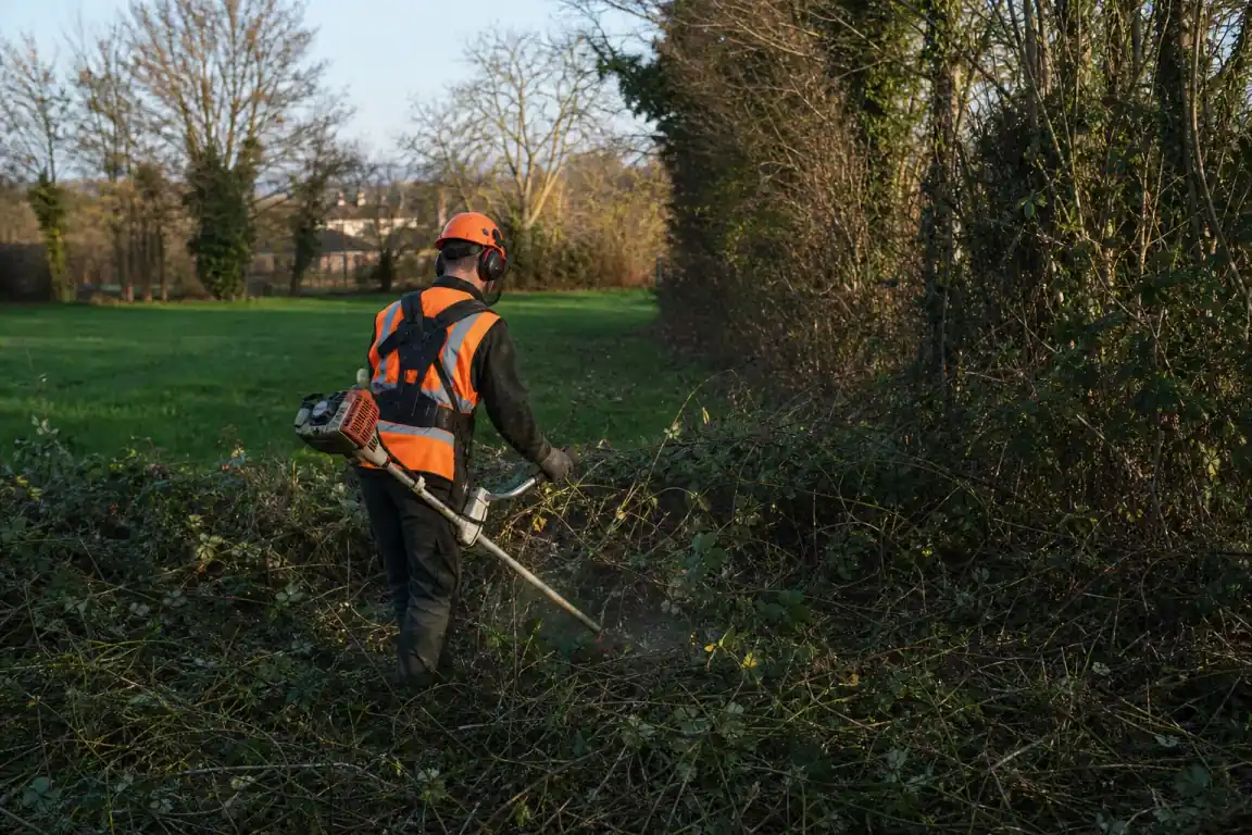 Photo d'un paysagiste en tenue de sécurité débroussaillant à la débroussailleuse à dos un terrain de bocage envahi de ronces autour de Bourg-en-Bresse, prairie humide et haies en arrière-plan, lumière de fin de journée.