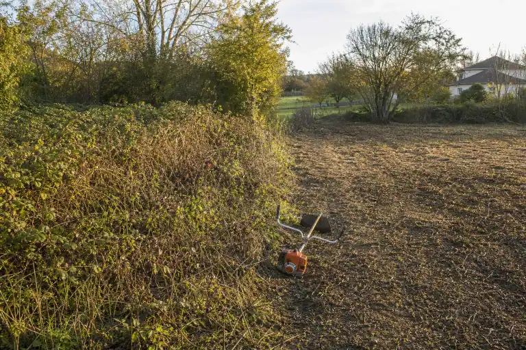 Fond de parcelle repris : à gauche ronces et friche, à droite terrain fauché et lisible prêt à être engazonné, débroussailleuse posée sur la ligne de partage.